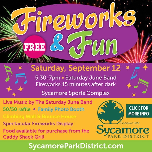 fireworksnfun15flyer