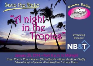 nightinthetropics14