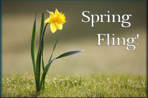 springfling