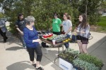 176326_Communiversity-Garden-SW-05_690x460