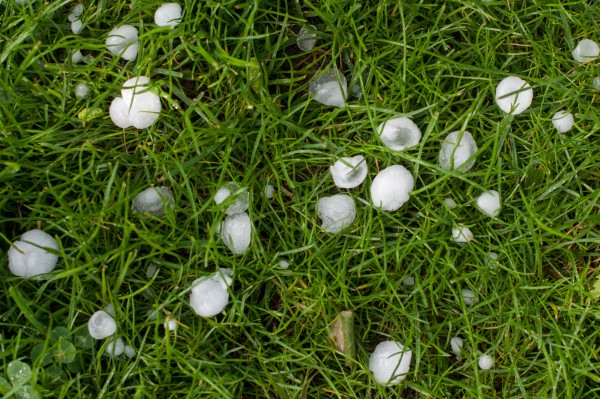 Hail on a lawn.