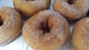 10352336_725311167542585_1229653279319155287_n[1]