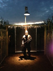 Zombie-Cage-e1381001008357[1]