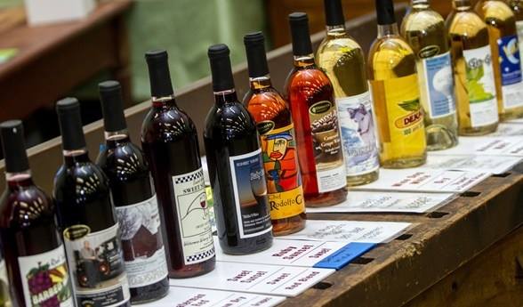 10456799_10204612002156323_33855603882287797_n[1]