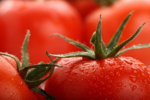 vegetable-perfect-fresh-red-wet-tomatoes-healthy-food-18667985-300x200[1]