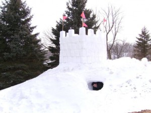 DDSnowfort[1]