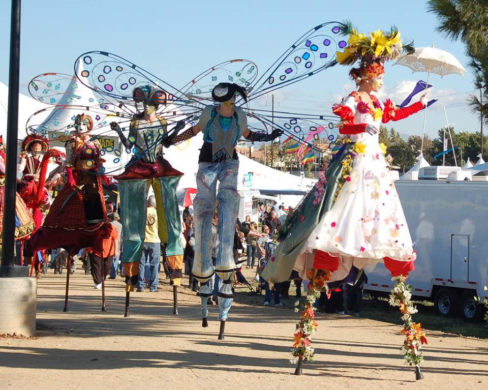 11002631_964771990199584_3980175396938508082_n[1]