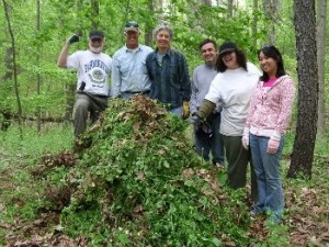 garlic_mustard_pull[1]