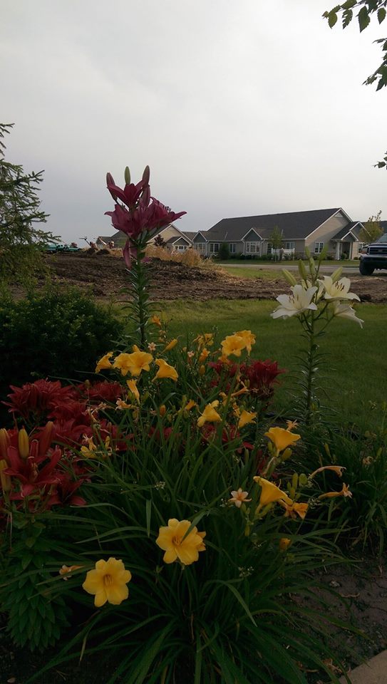 11221728_974351089251987_2308117470525226448_o[1]