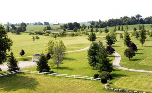 11800362_995713103795708_1177696176542314_n[1]