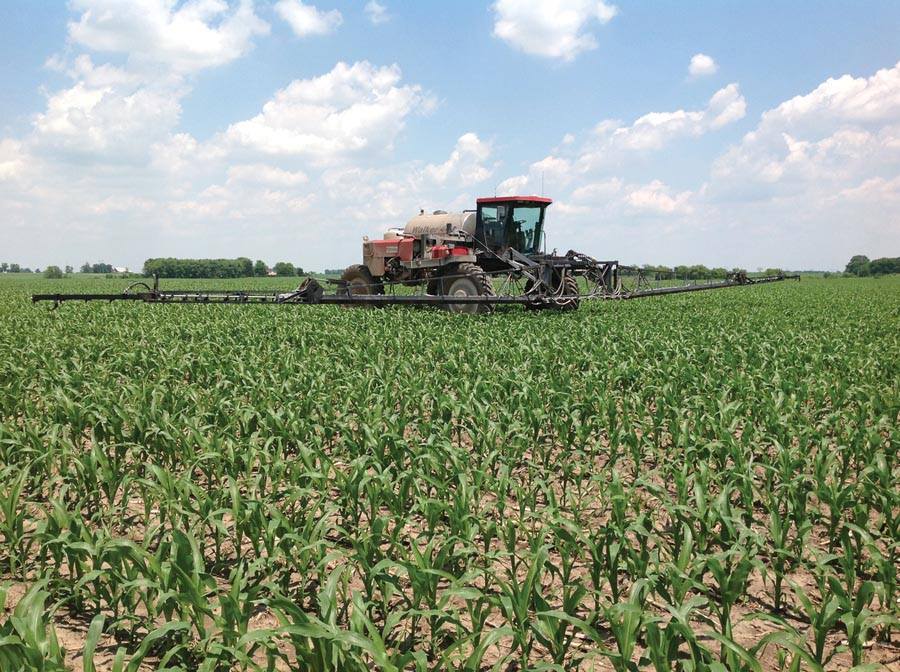 11904708_764449710332325_5129563860861861688_n[1]