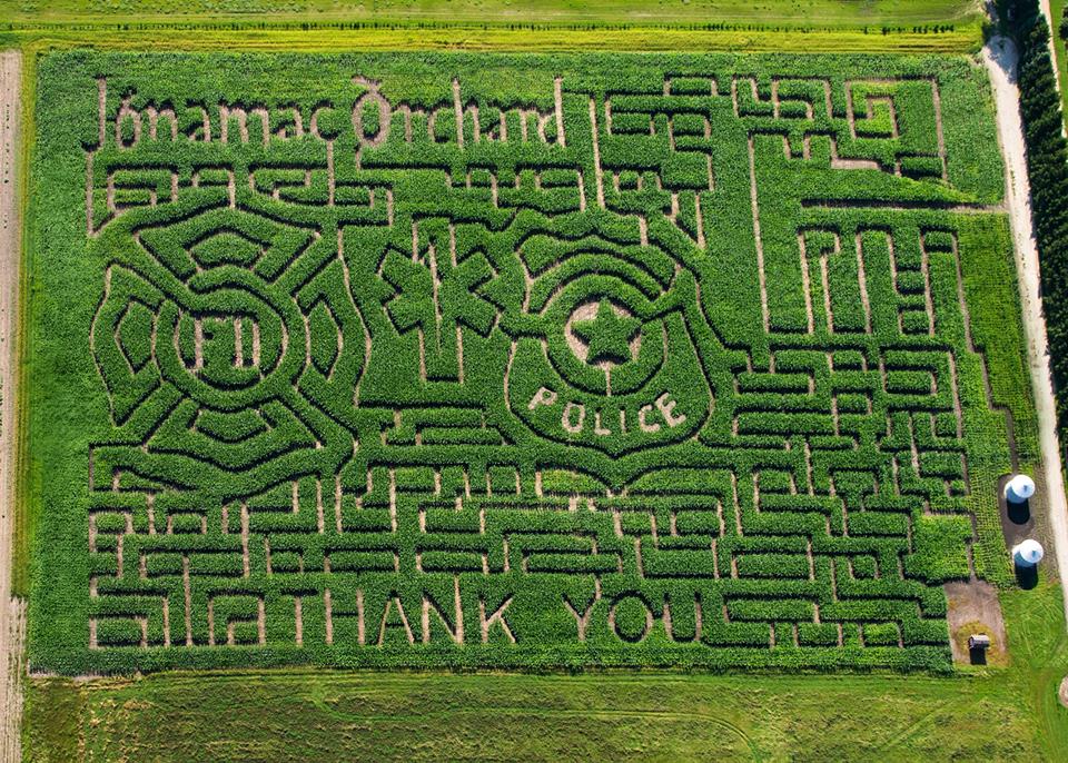 12003411_10153133093987467_3860646053194898169_n[1]