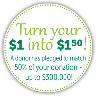 LeafaLegacy-match-195x195[1]