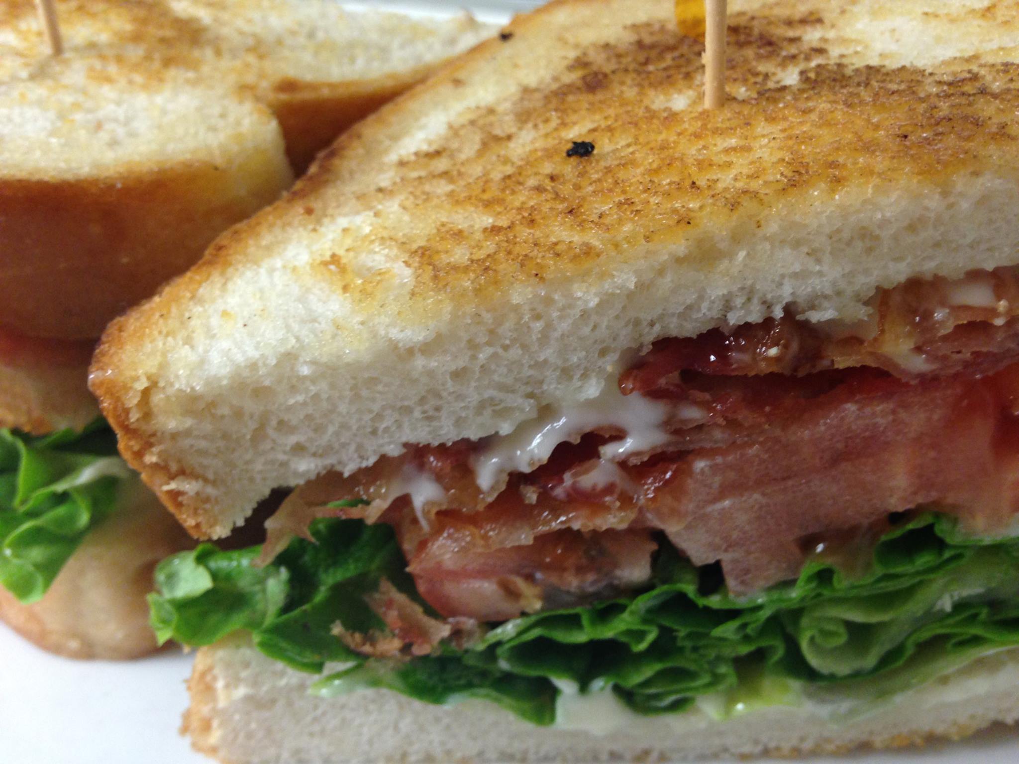 12402142_1016165145073721_3169996001707617005_o[1]