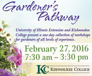 kishcollege2-16