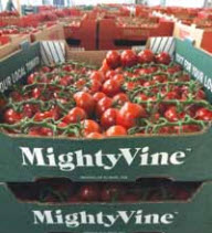 mighty-vine