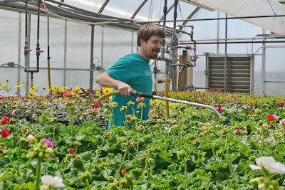 plantsale2016