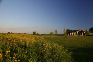 Harvey-Creek-Conservation-Area-Pizzo-photo-300x200[1]