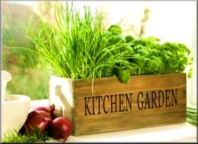 kitchengarden