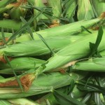 20150721_090338-150x150[1]