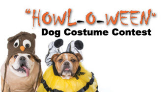 dogcostumecontest