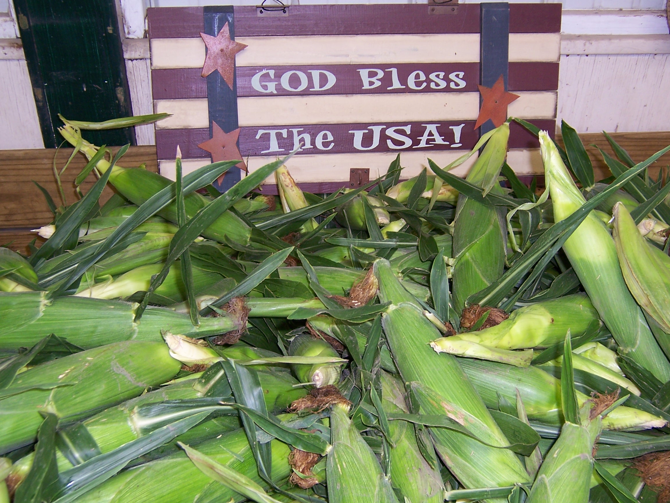 Delicious Bi-Color Sweet Corn