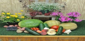 fruitnveggies8004[1]