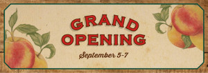 Website AD H-GrandOpening