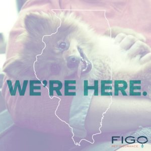 FIGO pet insurance now offered through Pardridge Insurance.