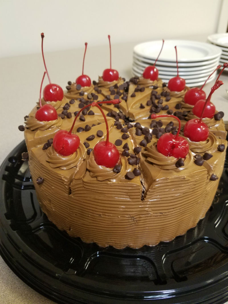vivi cake 800