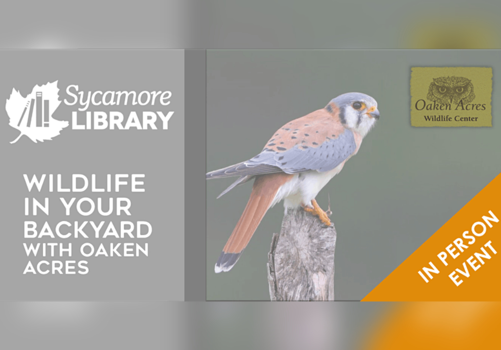 Getting to Know the Wildlife in Your Backyard (with Oaken Acres)